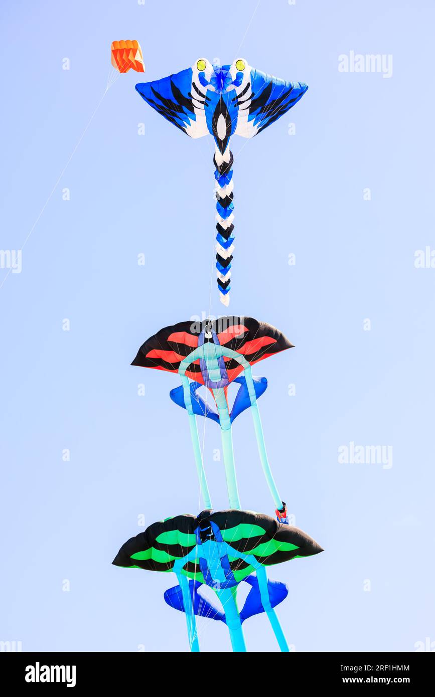 A collection of hundreds of stunning 3D kites graced the skyline of