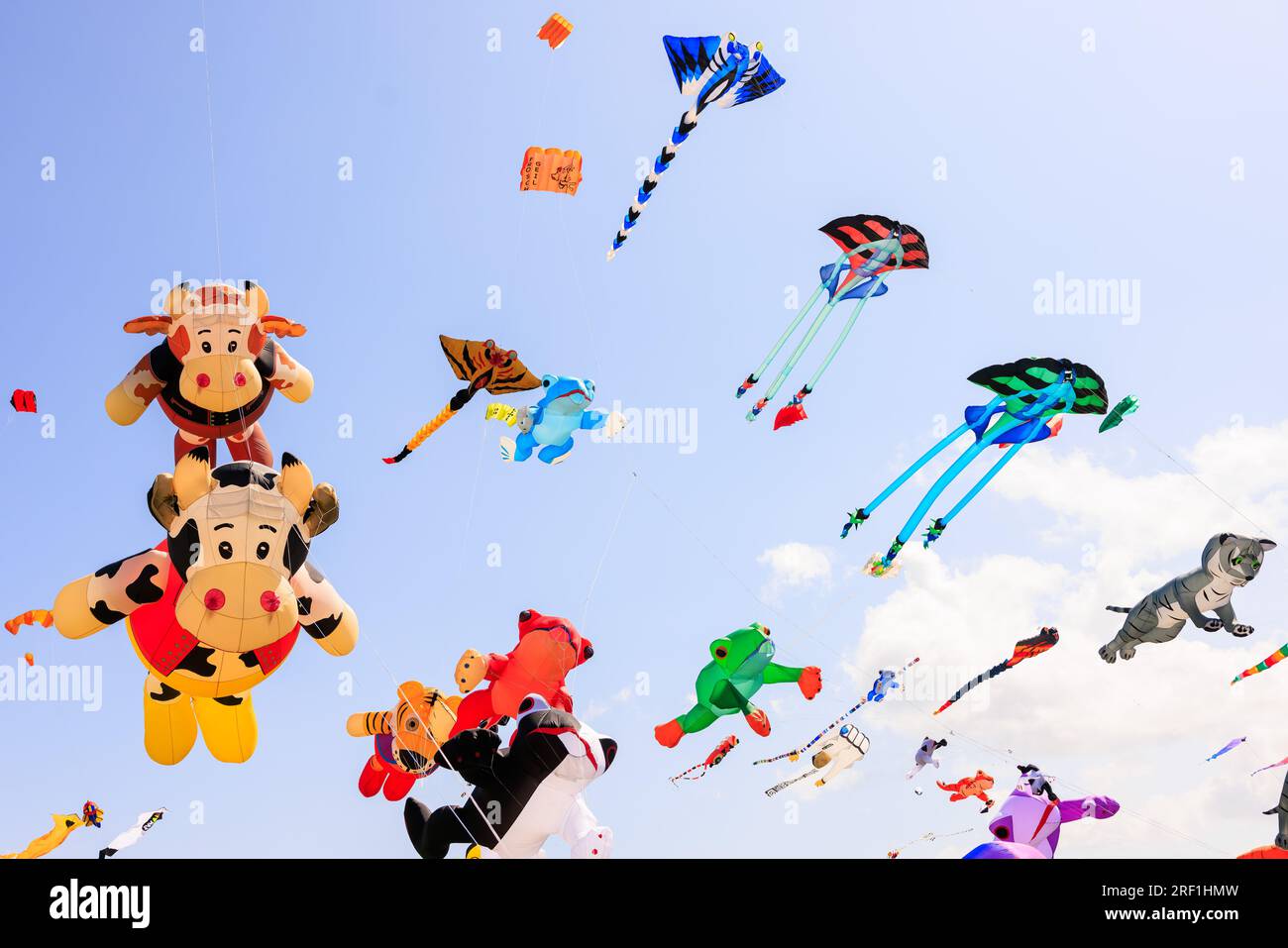 A collection of hundreds of stunning 3D kites graced the skyline of