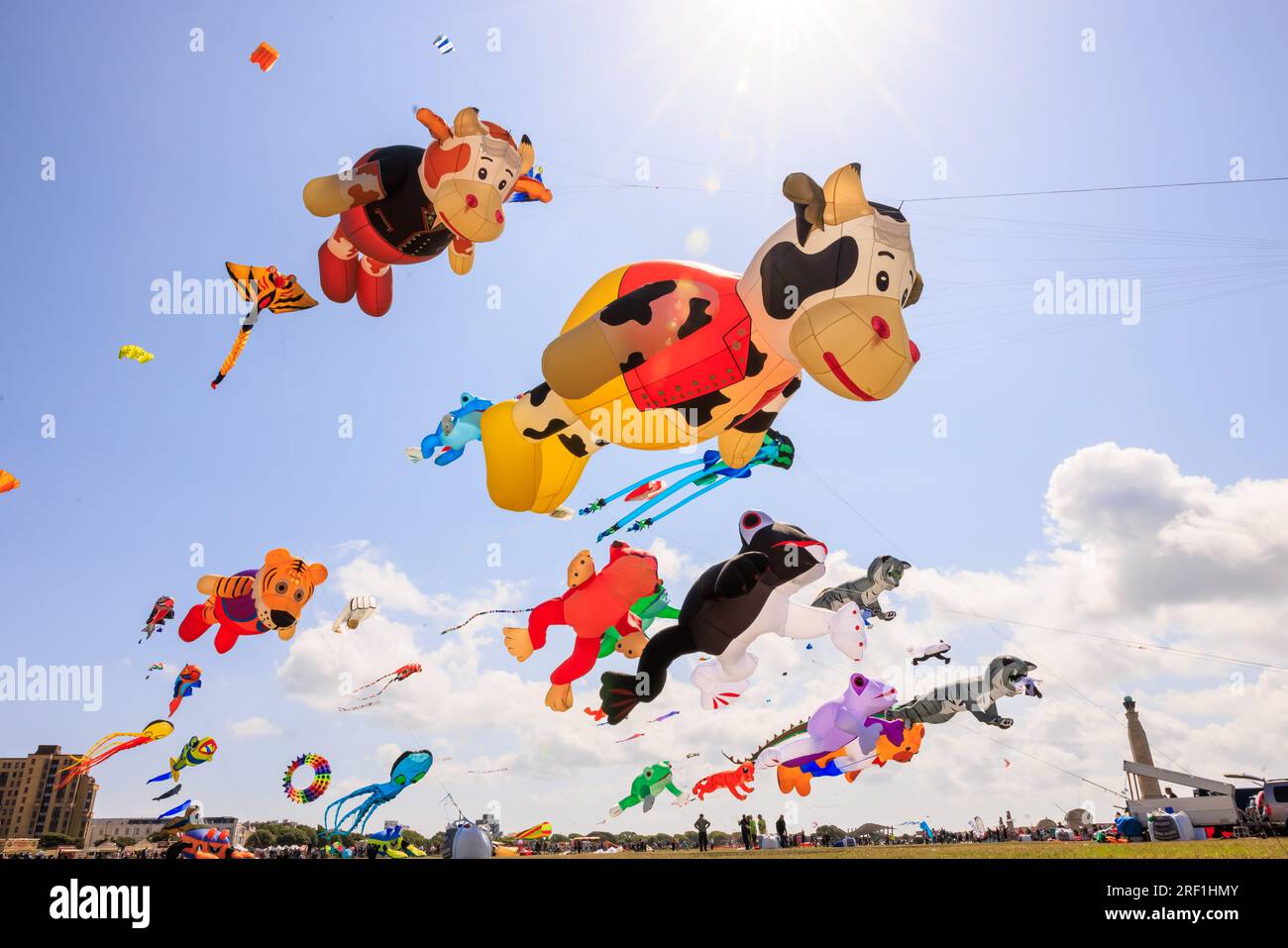 A collection of hundreds of stunning 3D kites graced the skyline of