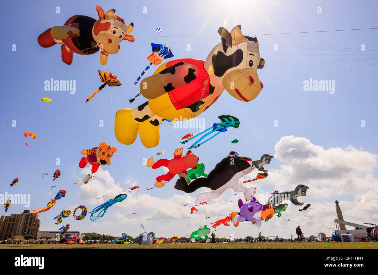 A collection of hundreds of stunning 3D kites graced the skyline of