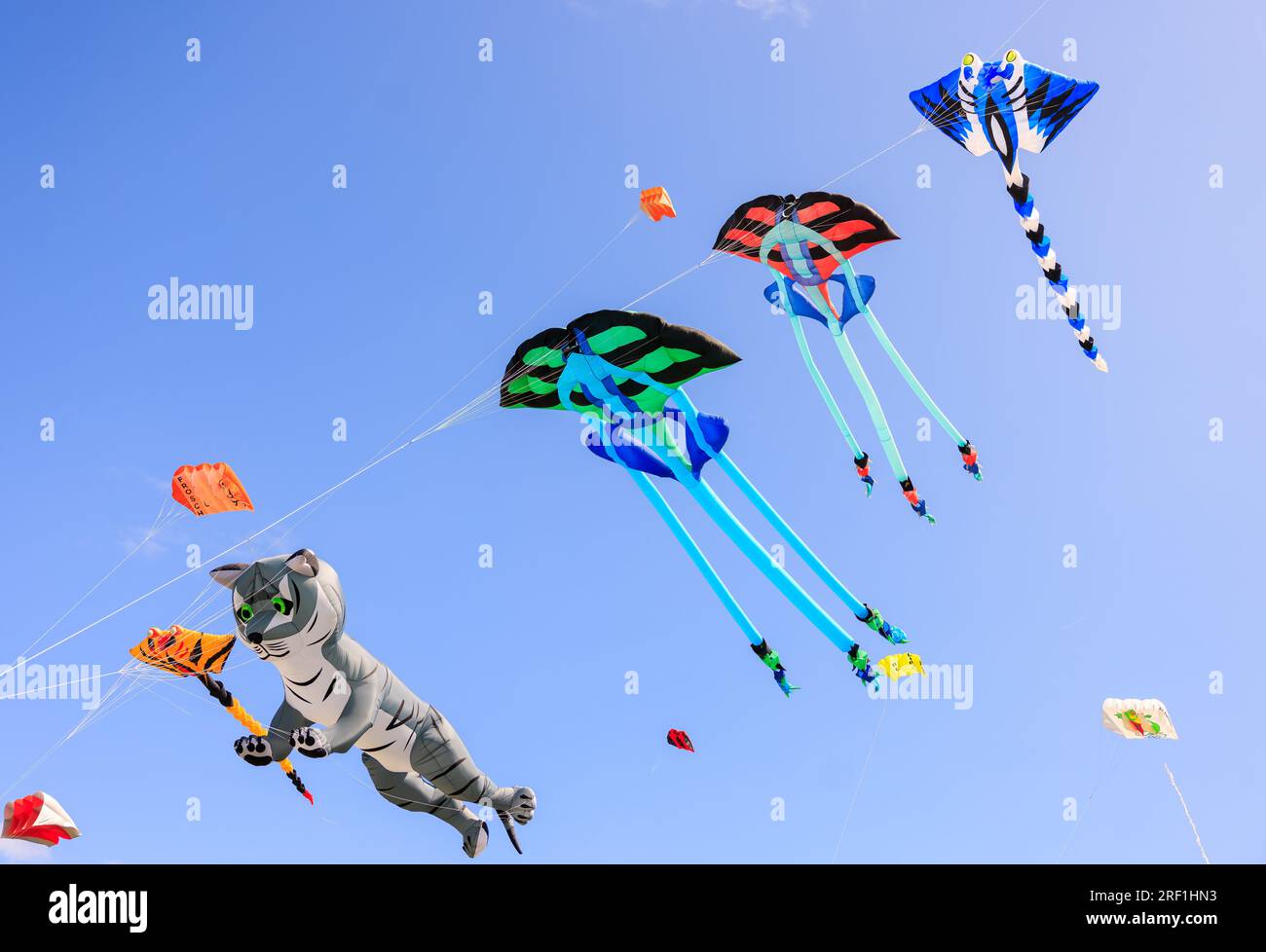 A collection of hundreds of stunning 3D kites graced the skyline of
