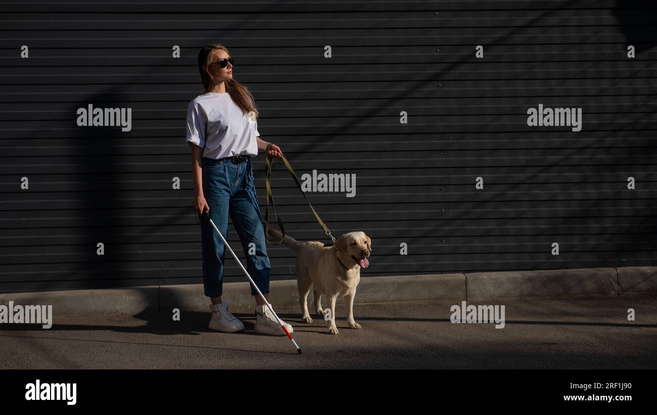 Blind woman walking guide dog outdoors Stock Photo - Alamy
