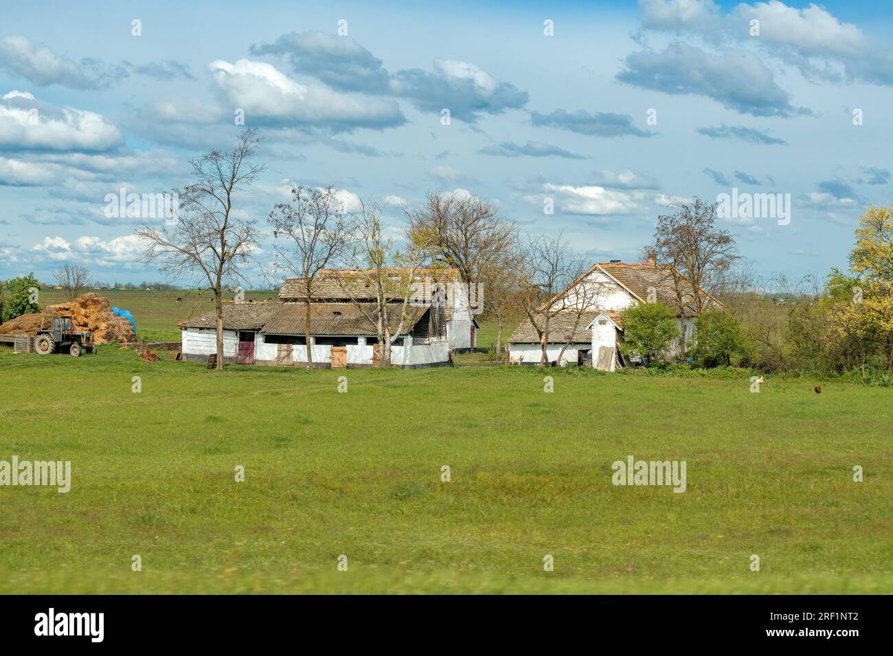 Typical old salas in Vojvodina, a traditional type of property in the Pannonian Plain region, with family house and agricultural objects, surrounded b Stock Photo