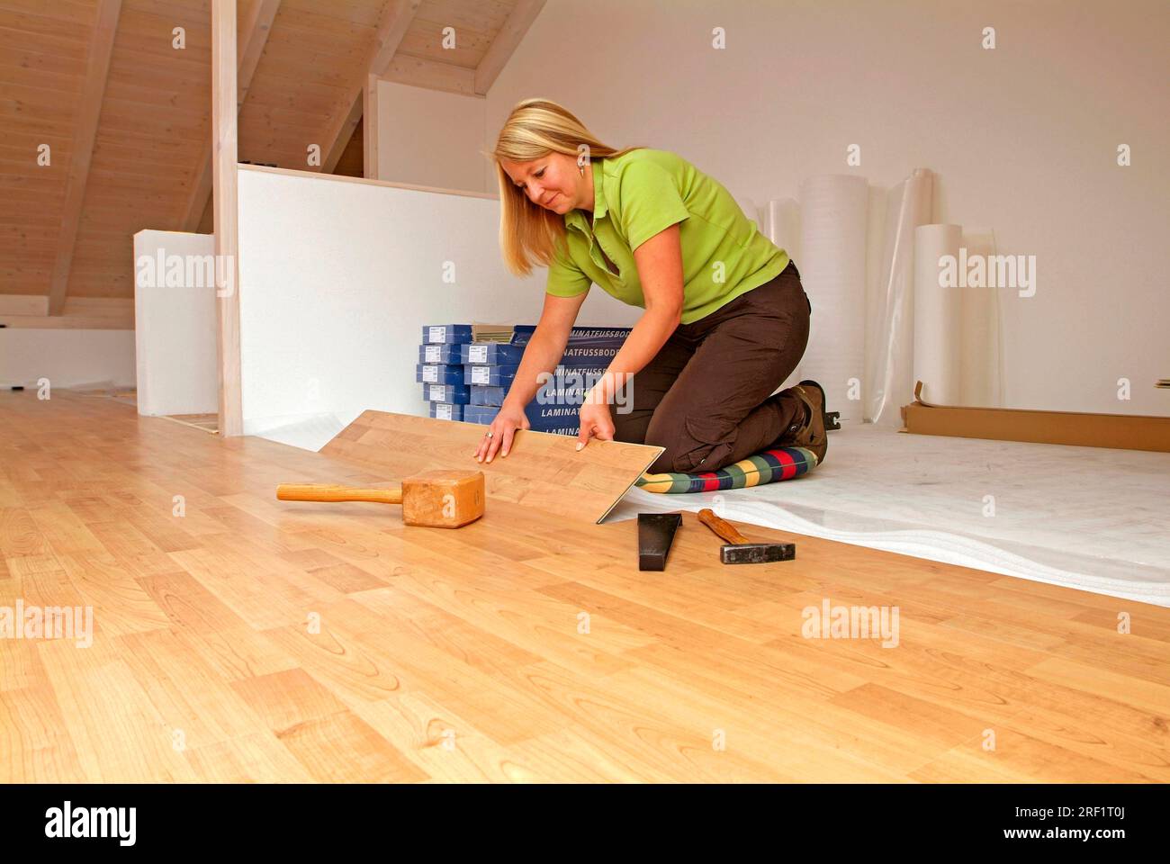 Woman lays laminate flooring, renovate, lay laminate, handyman, do-it-yourselfer Stock Photo