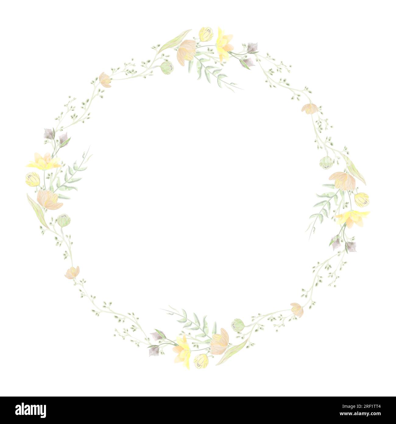round frame of wild flowers with yellow flowers vector watercolor Stock ...