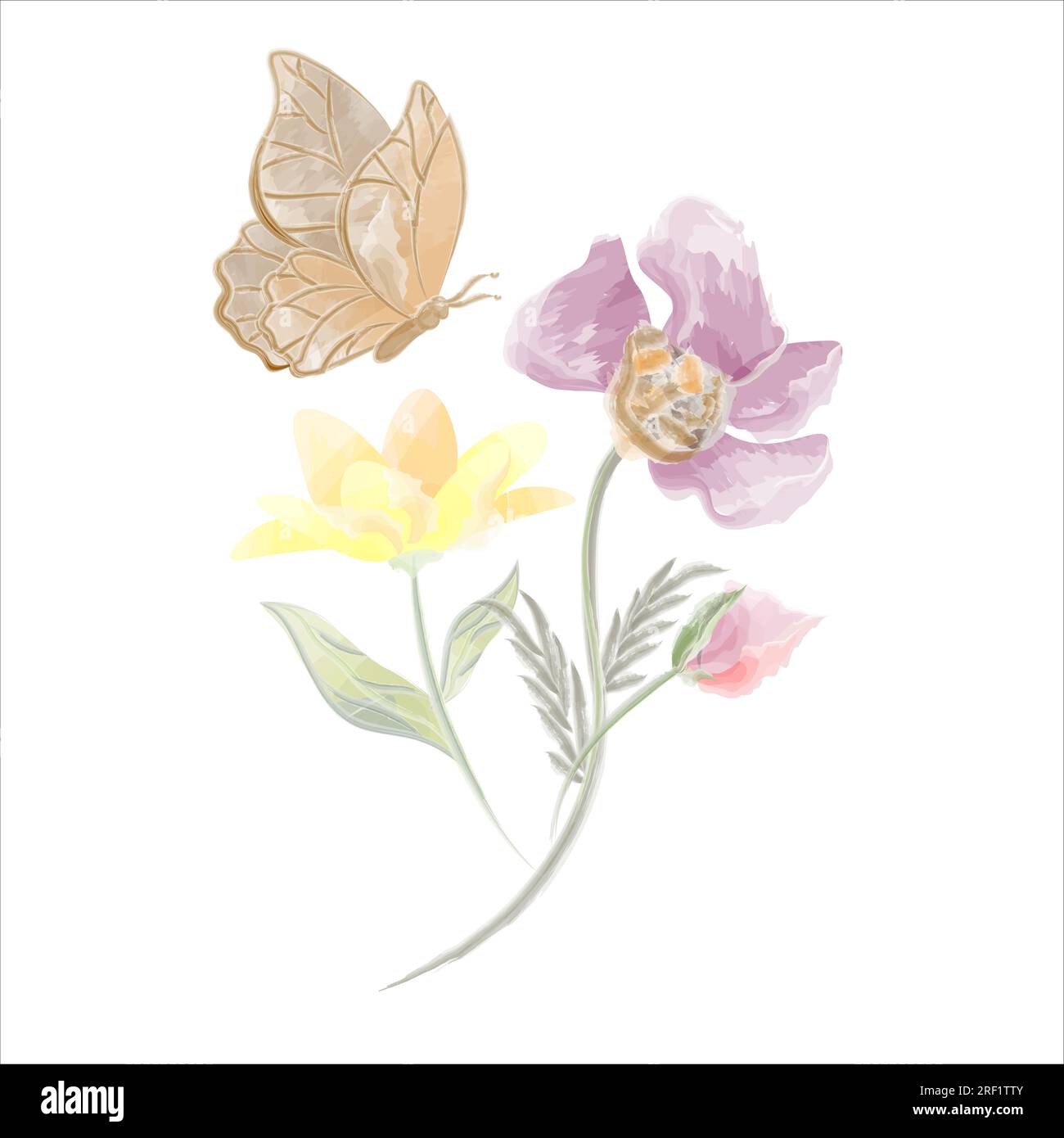 Line art wildflower isolated hi-res stock photography and images - Alamy