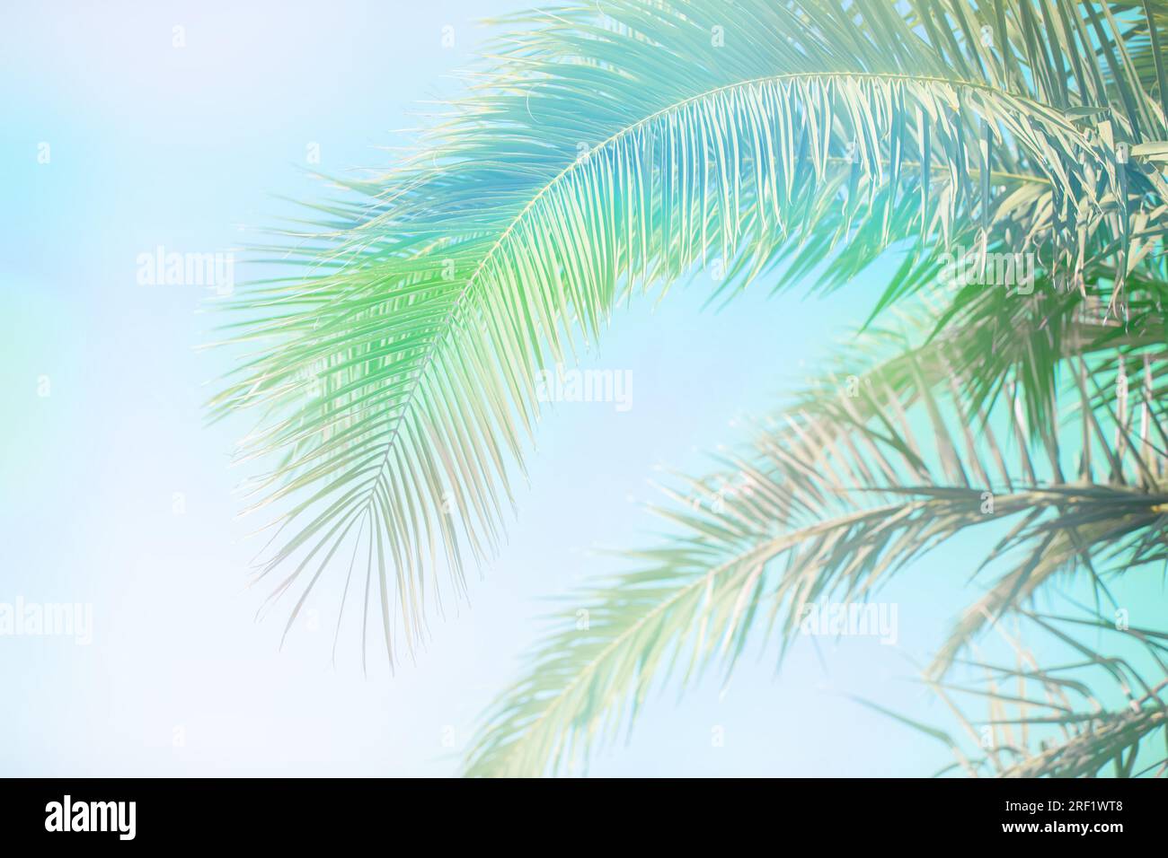 Tropical savannah climate hi-res stock photography and images - Alamy