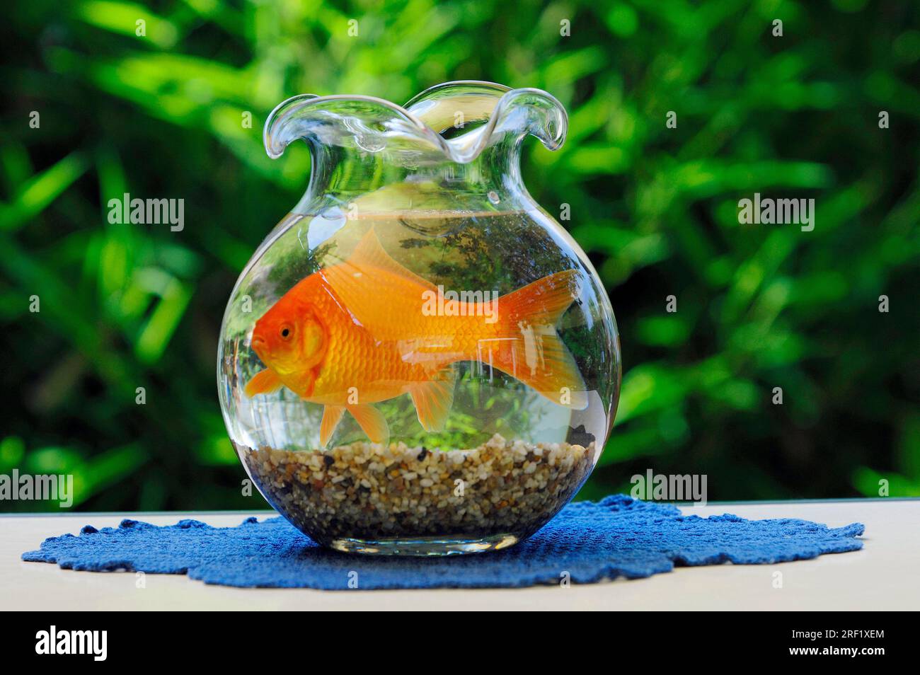 Gallery image with a fresh perspective