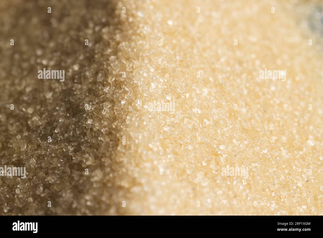 Grain of sand up close hi-res stock photography and images - Alamy