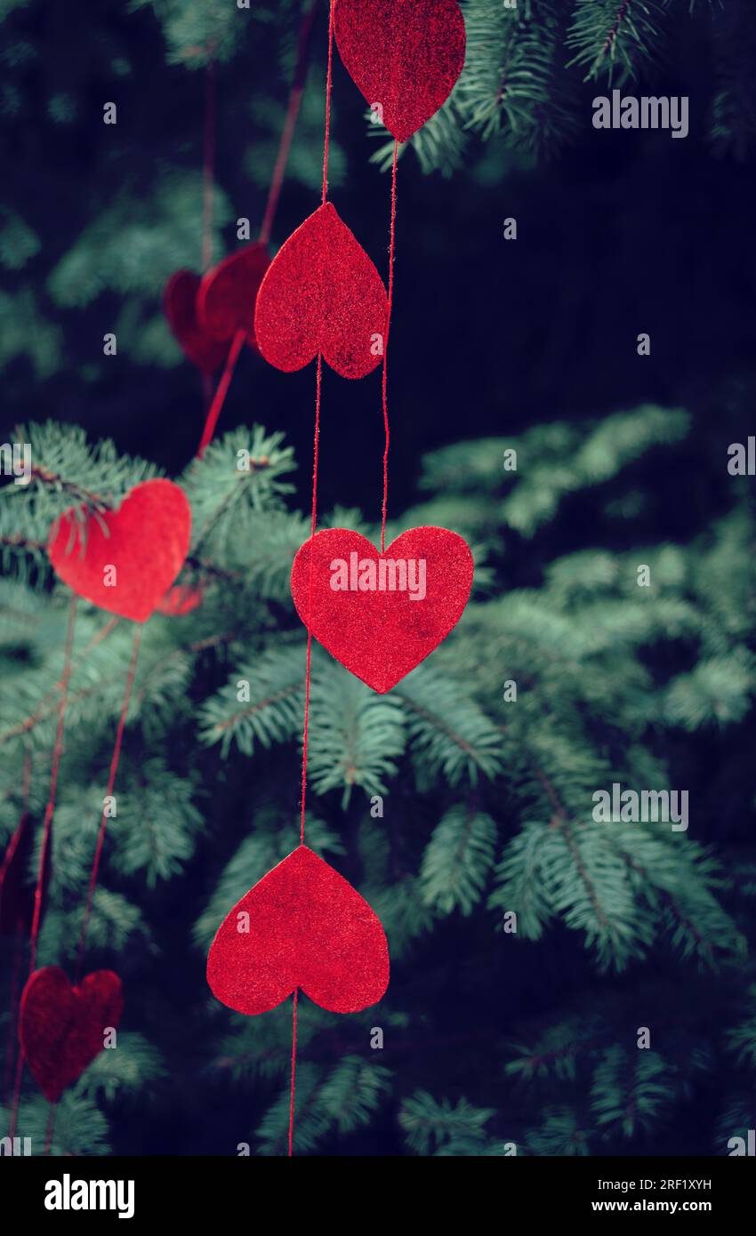 Red decorative beautiful hearts hang on branches of spruce outdoor. Beautiful romantic background decorated for Valentine's Day Stock Photo