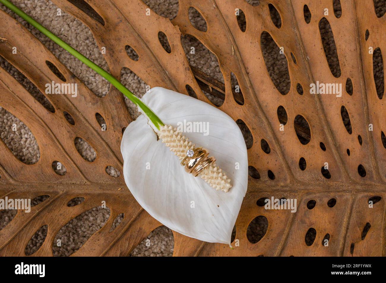 Wedding Rings For Couple Bride And Groom Kenya Wedding Rings Jewelry