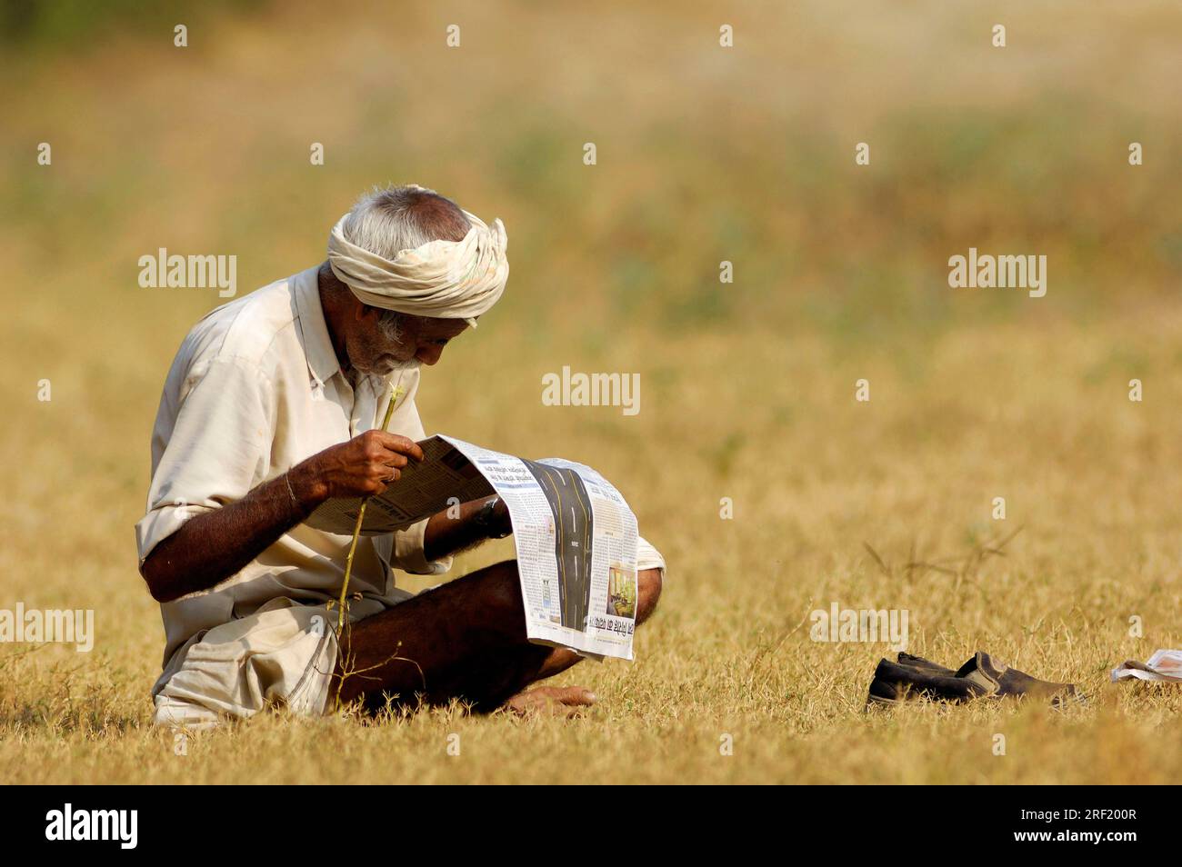 Indian man reading newspaper, Bharatpur, Rajasthan, India Stock Photo