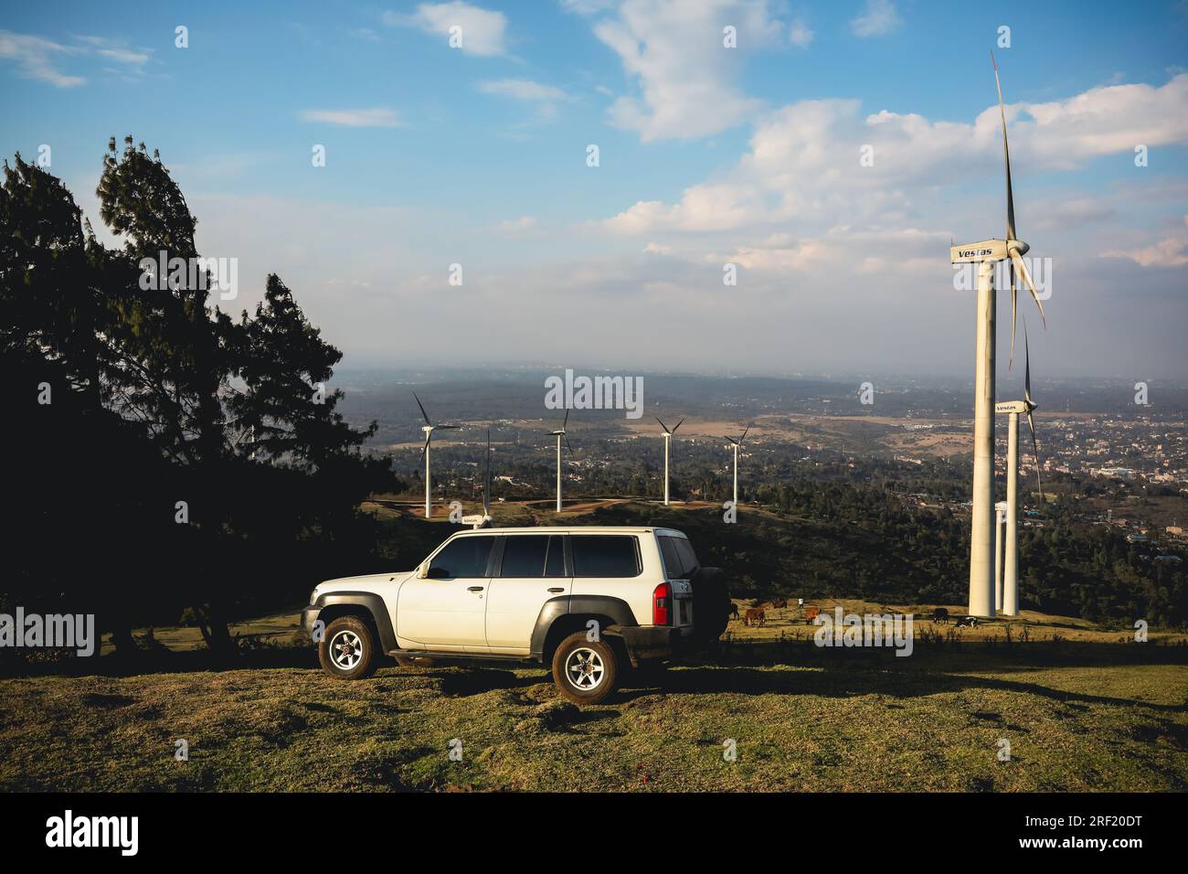 Wind power energy station at the Ngong Hills Forest Reserve