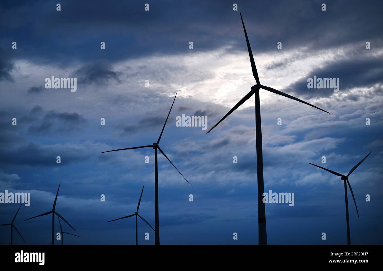 Warza, Germany. 31st July, 2023. Sunlight shines through between dark