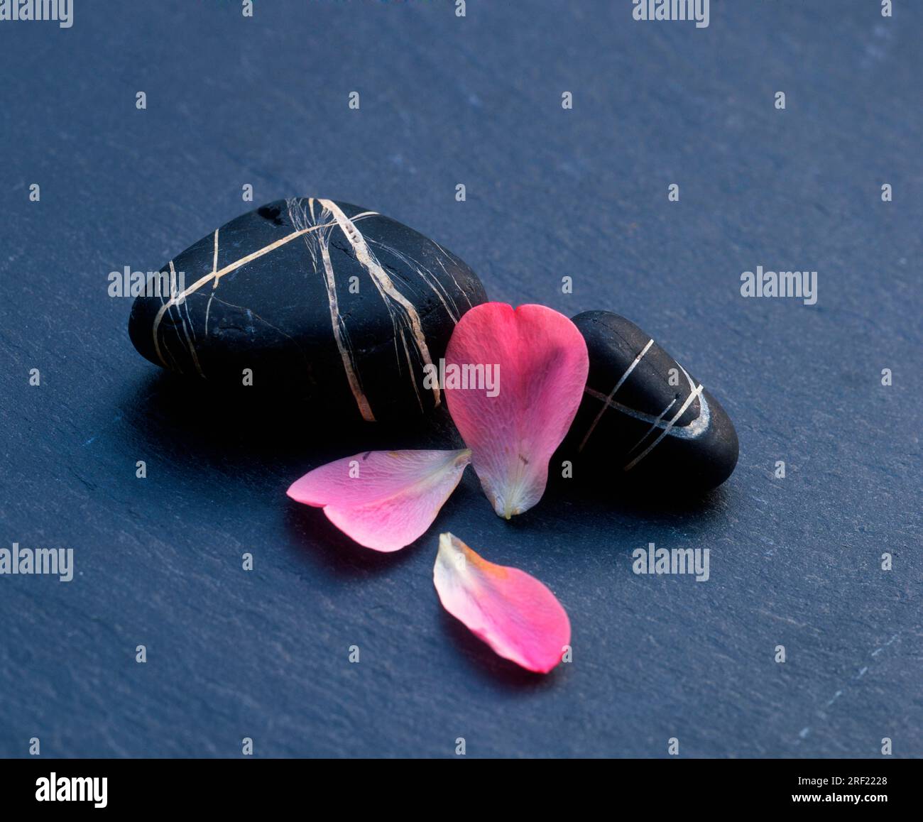 Flower Petal Rocks Rose petals and stones stone hi-res stock photography and images - Alamy