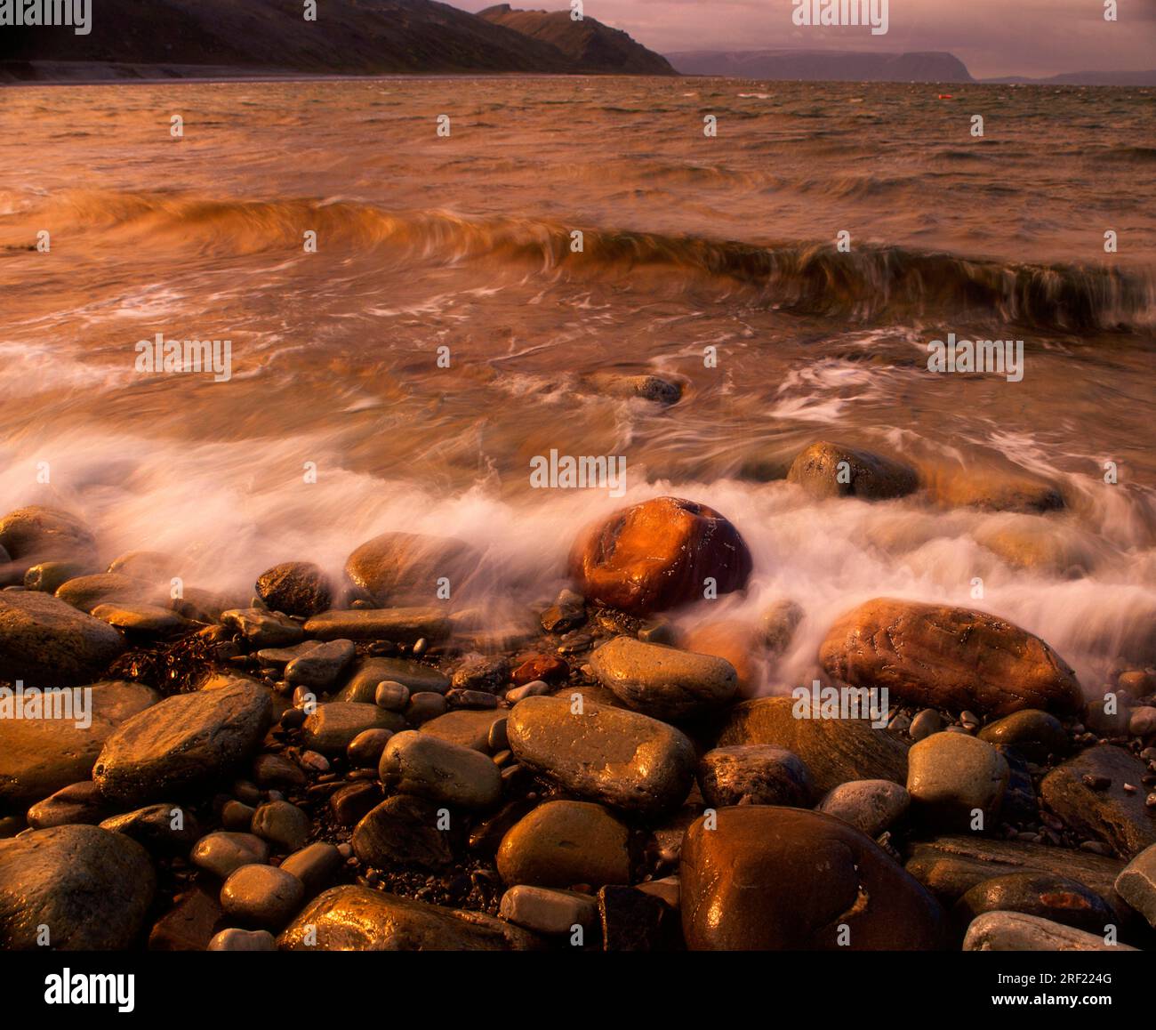 Stones on the beach, fjord, Varanger Peninsula, Norway Stock Photo