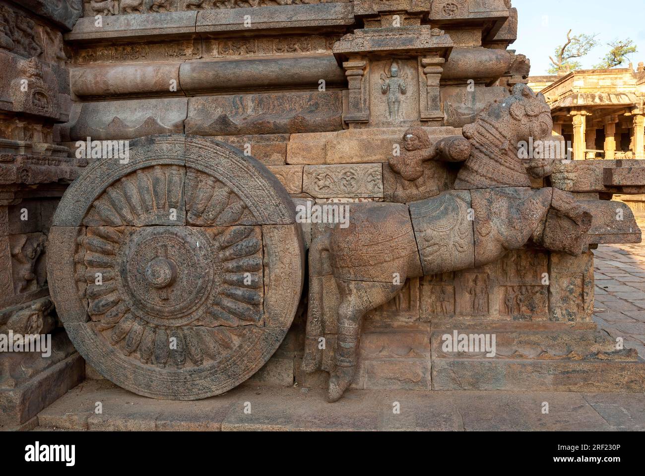 Horse pulling chariot of the Airavateshvara temple 12th century Chola