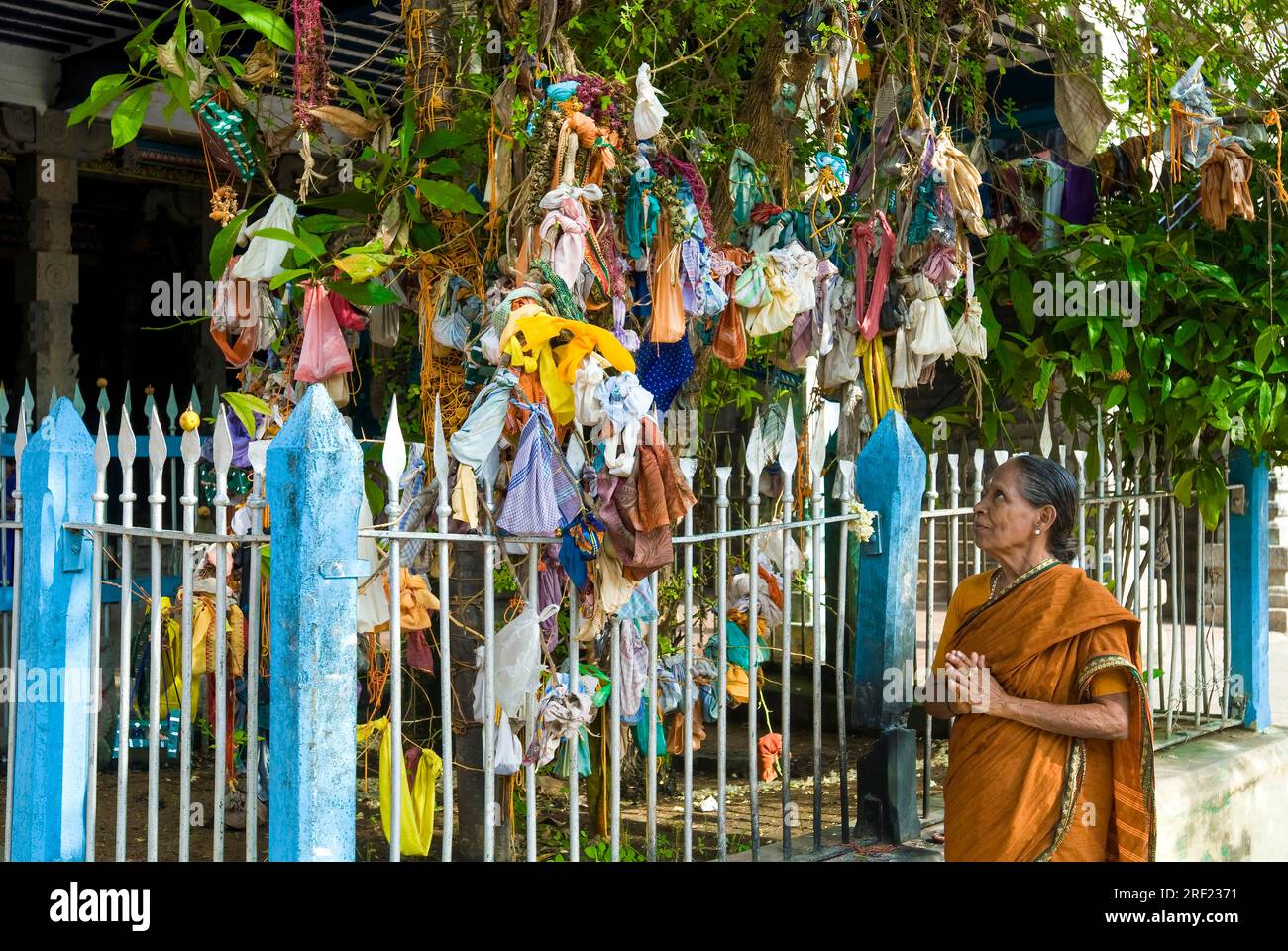 Infertile women have tied hammocks in temple tree pleading God to