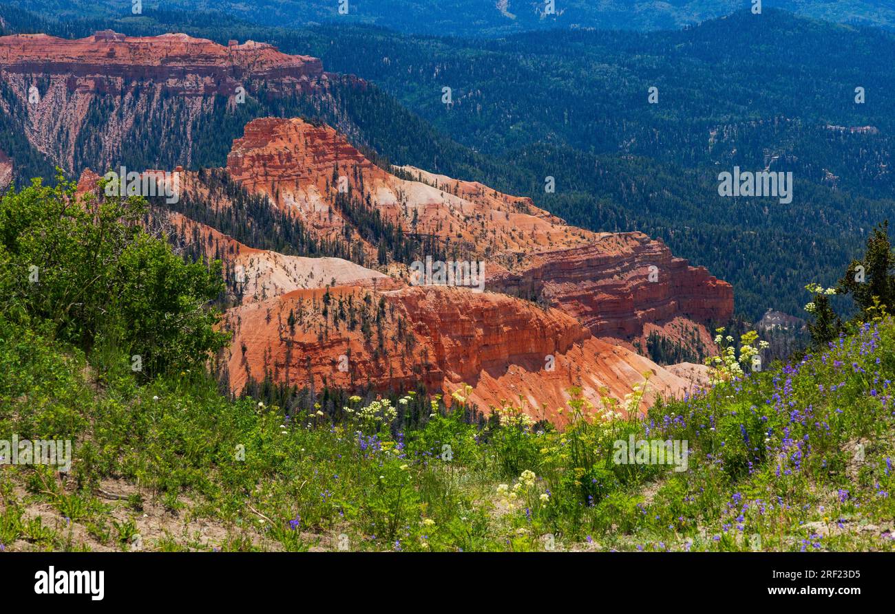 This is a view of a part of the red rock cliffs in the Amphitheater of Cedar Breaks National Monument east of Cedar City, Iron County, Utah, USA.. Stock Photo