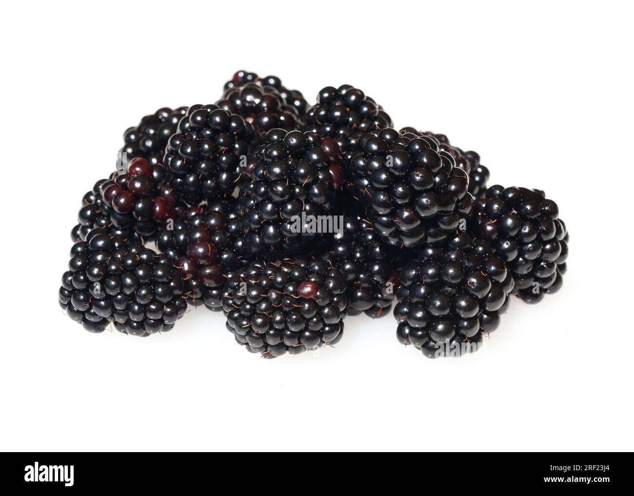 Blackberries, Rubus fructicosa, is a tasty berry plant with black berries Stock Photo