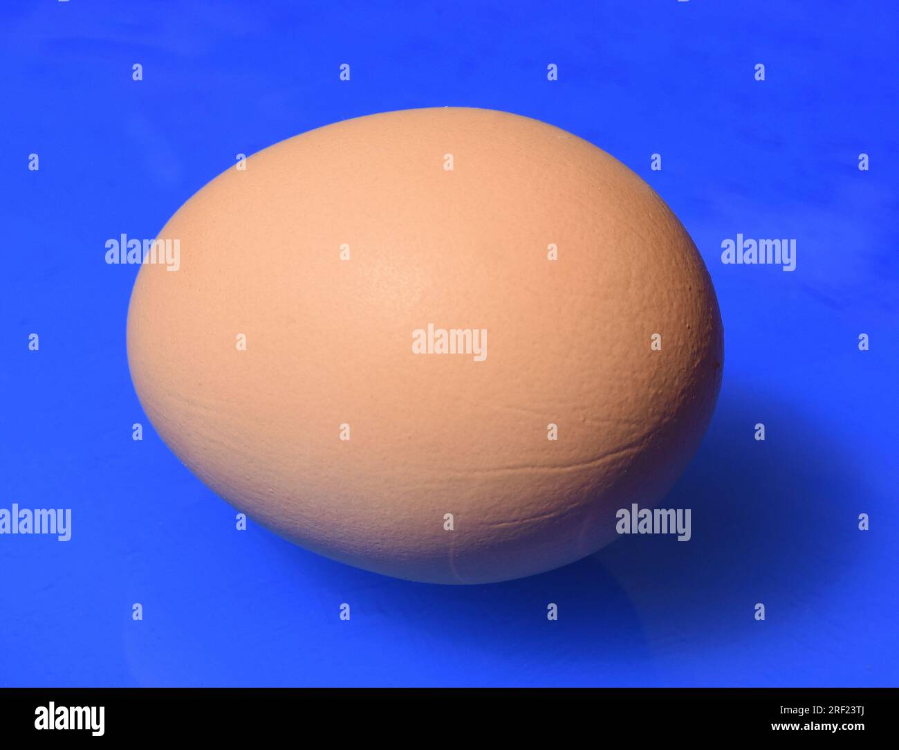 Eggs, chicken eggs or eggs are an important animal food Stock Photo - Alamy