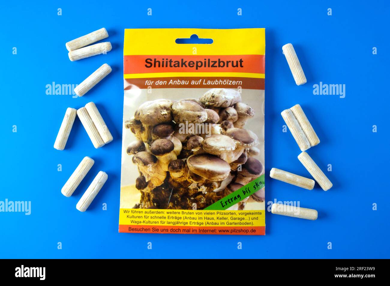 Wooden dowel with mushroom spawn, shitake mushrooms, shiitake mushroom