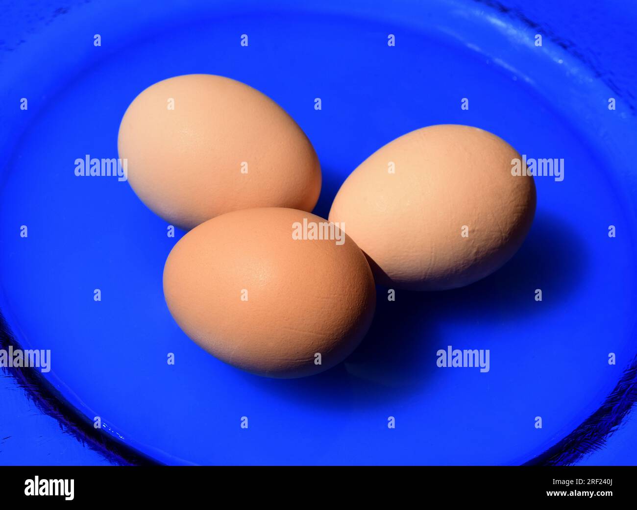 Eggs, chicken eggs or eggs are an important animal food Stock Photo - Alamy