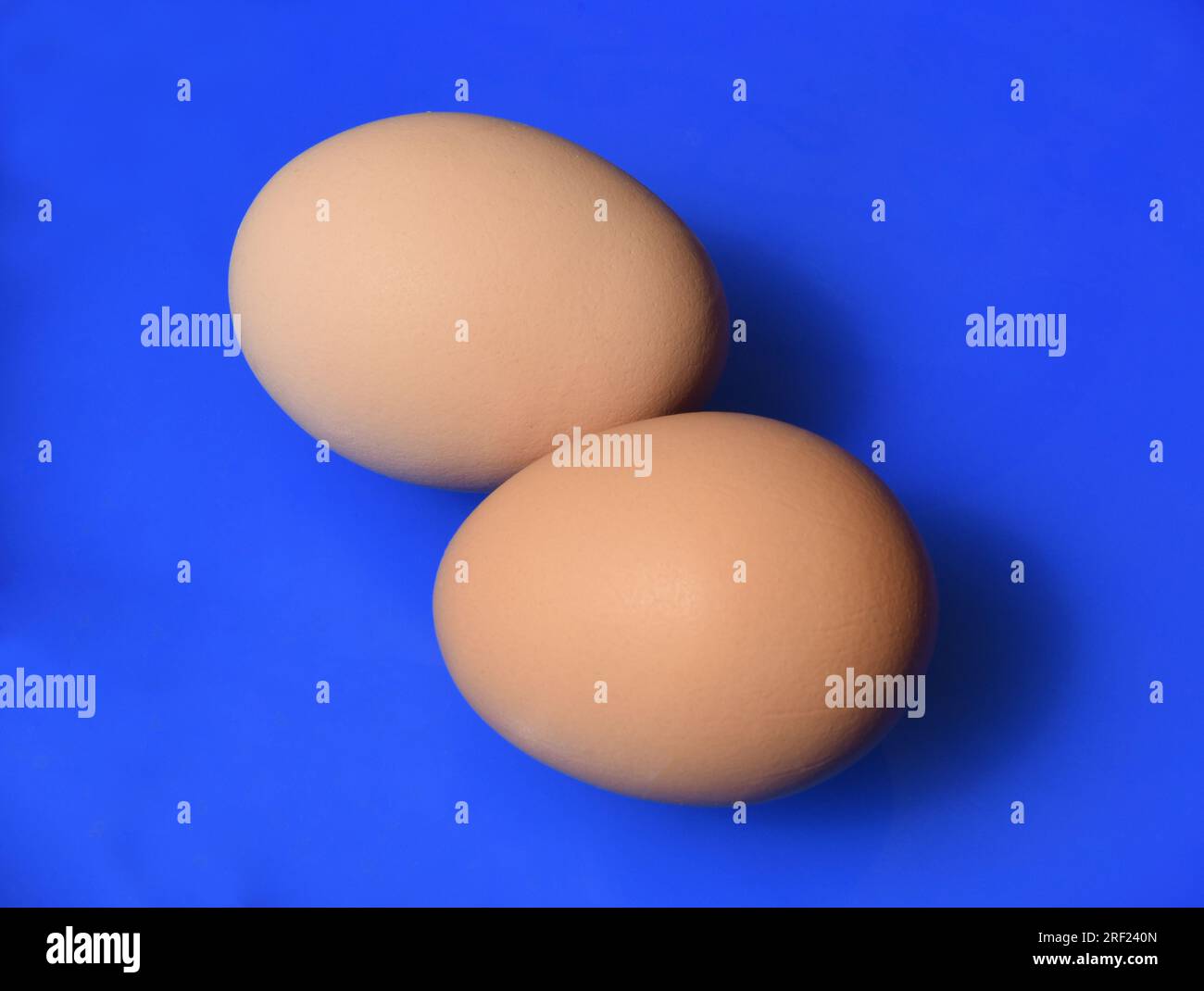 Eggs, chicken eggs or eggs are an important animal food Stock Photo Alamy