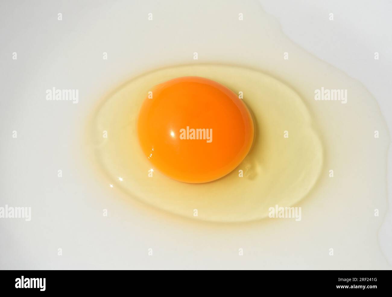 Ei, Huehnerei bzw. Eier sind ein wichtiges tierisches Lebensmittel. Eggs, chicken eggs or eggs are an important animal food. Stock Photo