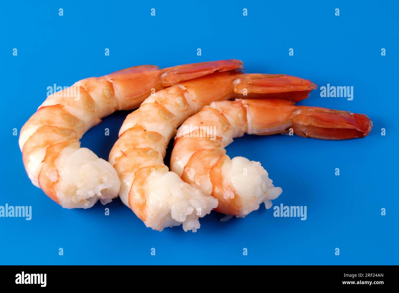 King prawns (Natantia), shrimp Stock Photo Alamy