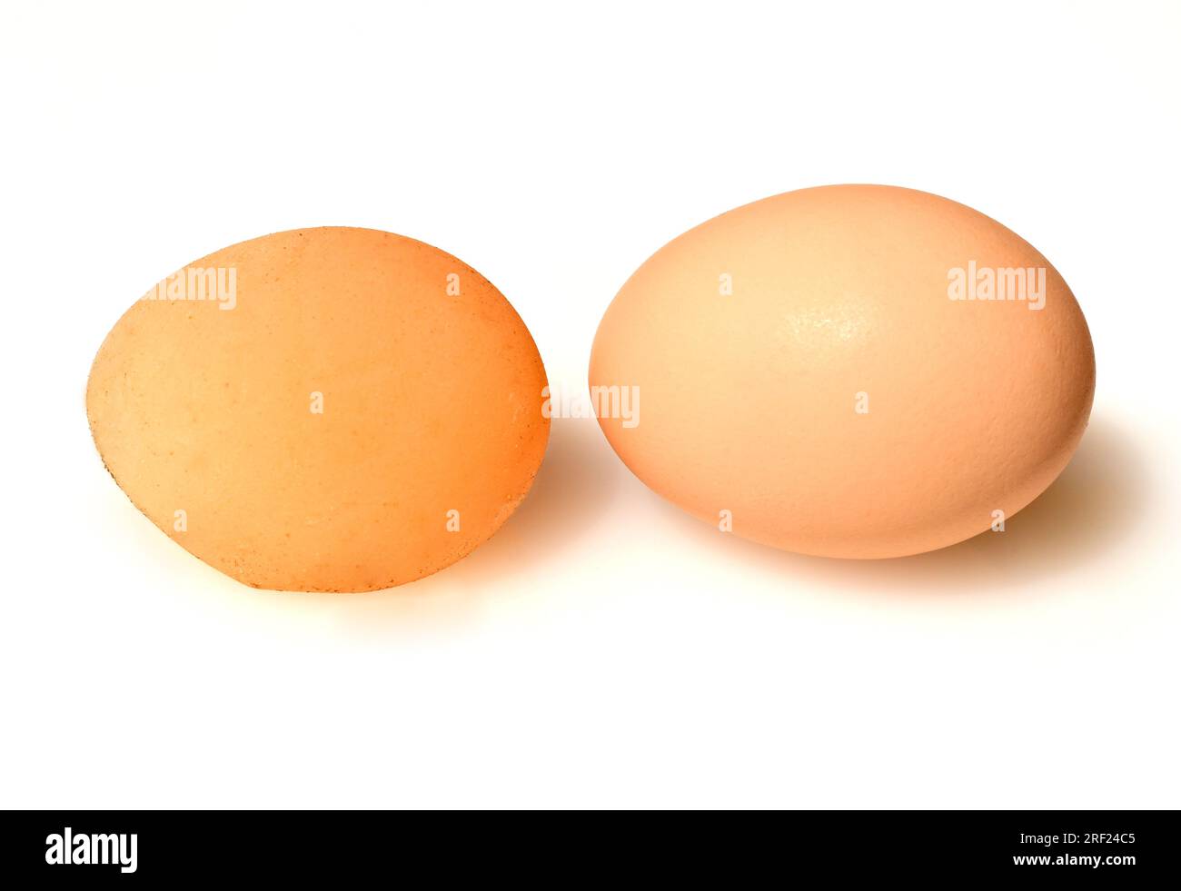 Windegg is a bird egg that is laid without a calcareous shell and is