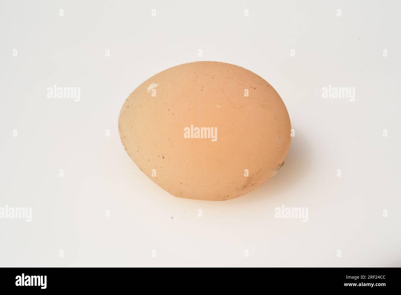 Windegg is a bird egg that is laid without a calcareous shell and is