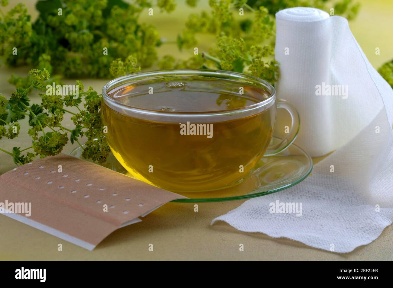 Adhesive plaster, gauze, and cup of common (Alchemilla vulgaris) lady's ...
