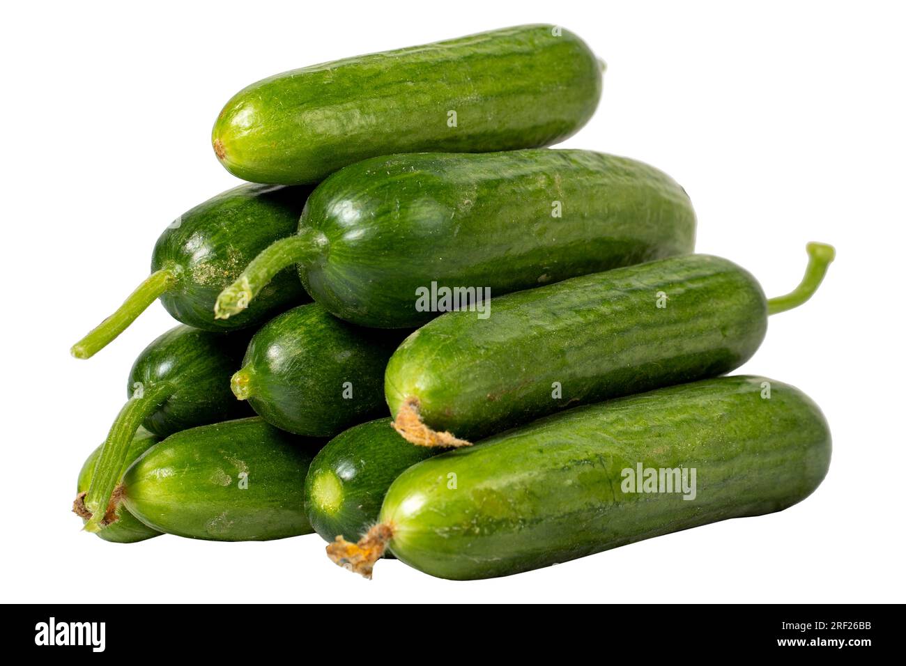 Cucumber isolated on white background. Fresh raw cucumber harvest