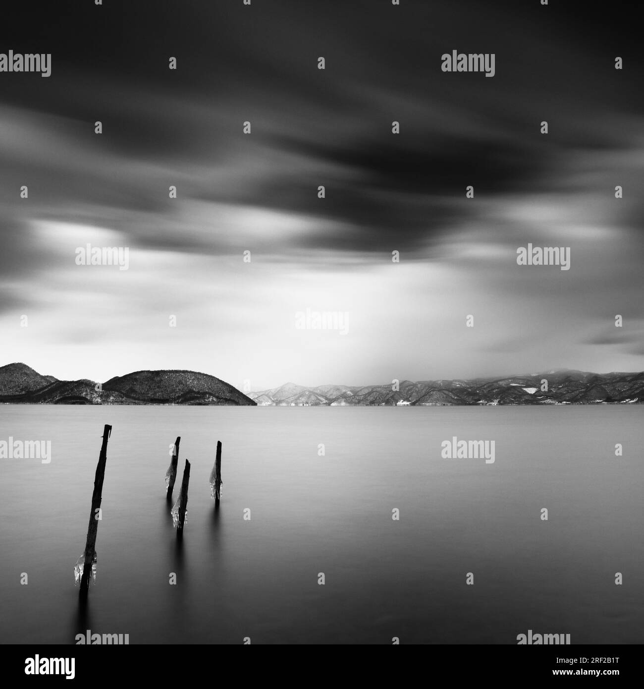 My Image 24