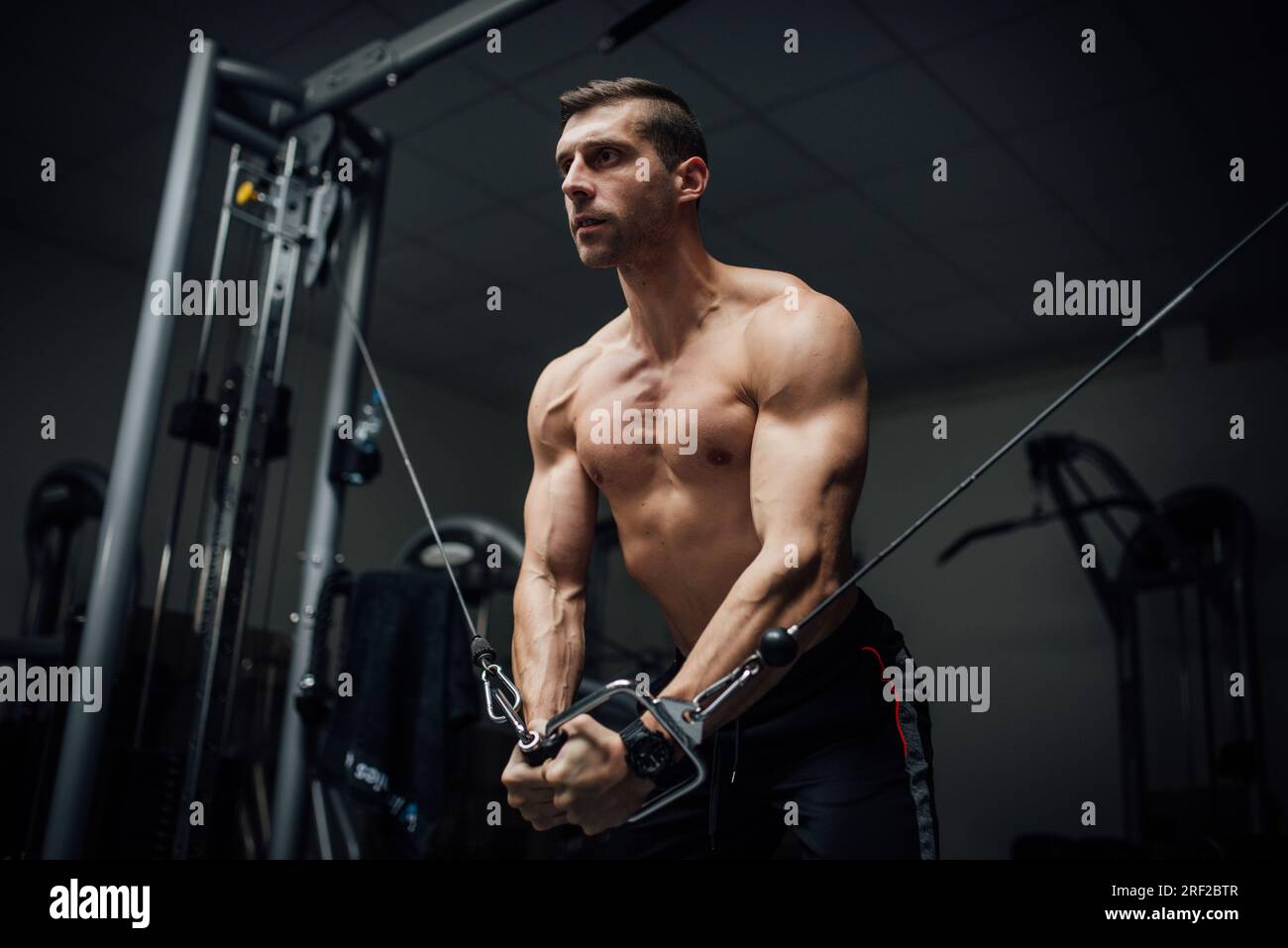 Muscular Body Builder Working Out At The Gym Doing Chest