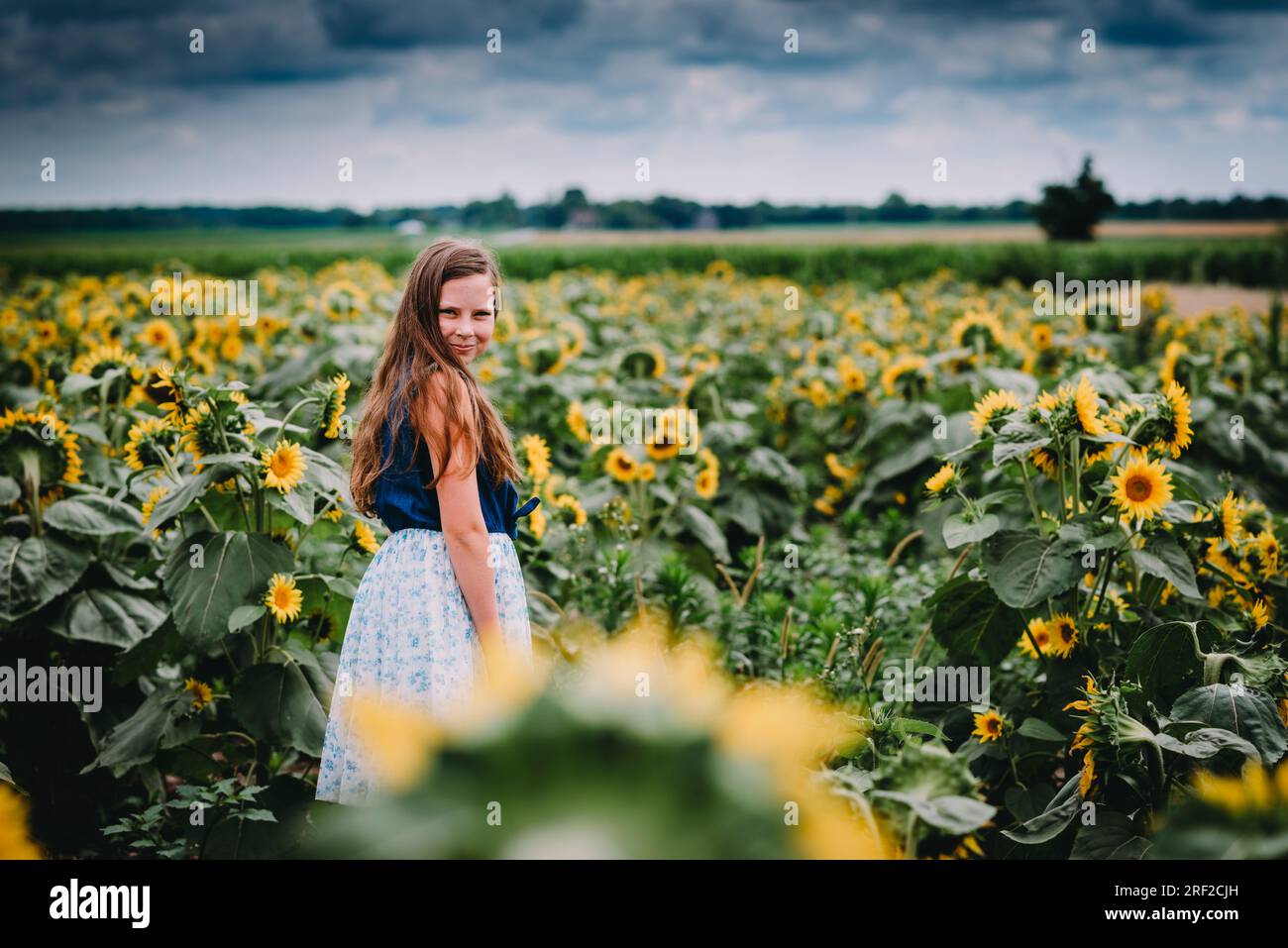 Portrait of a Girl Smiling in a Sunflower Field Stock Photo - Alamy