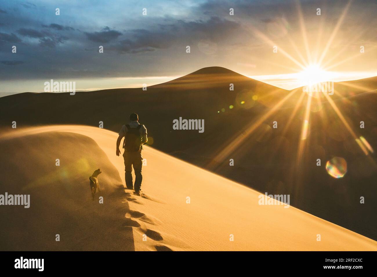 hiker and dog at sunset climbing sand dunes on windy day Stock Photo