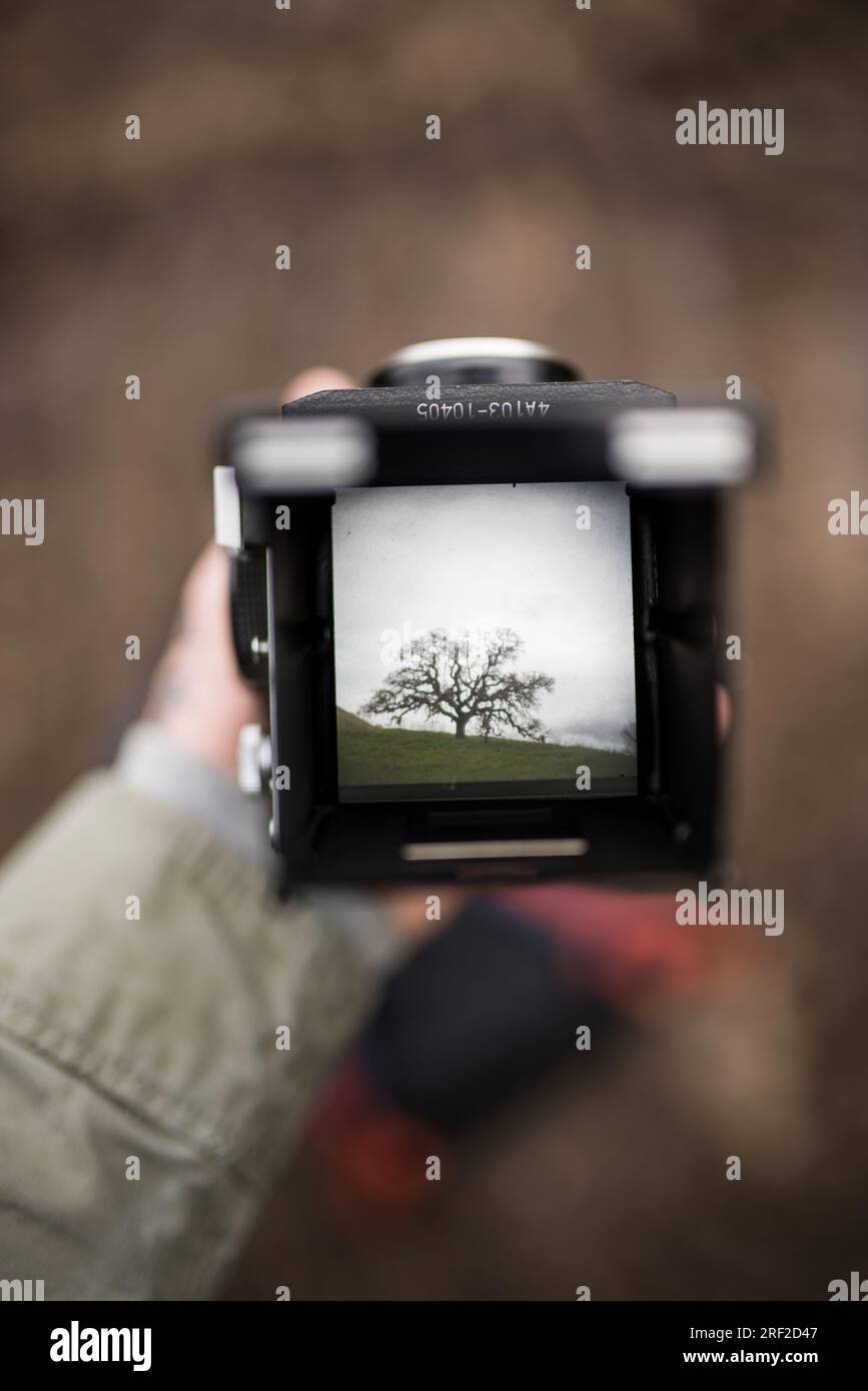 Looking through viewfinder hi-res stock photography and images - Alamy