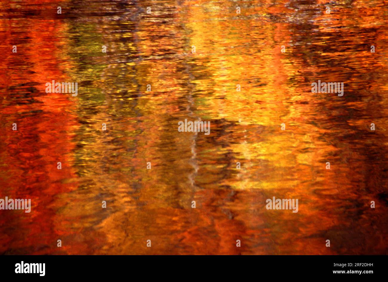 die Farben des Indian Summer spiegeln sich in den Wellen eines Sees * autumn colors reflecting in water ripples Stock Photo