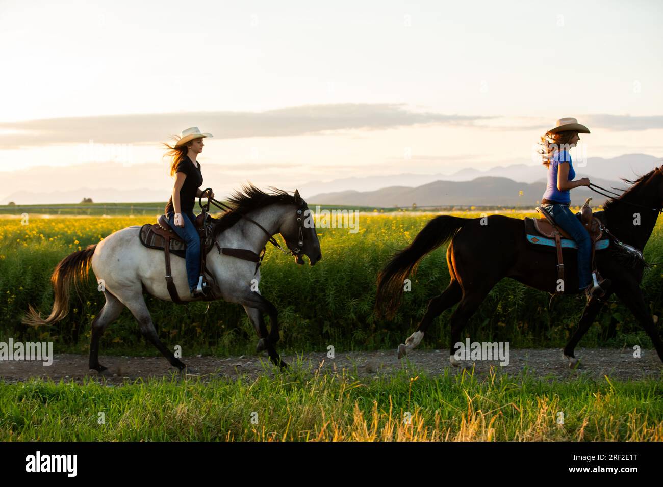 Two people riding horses hi-res stock photography and images - Alamy