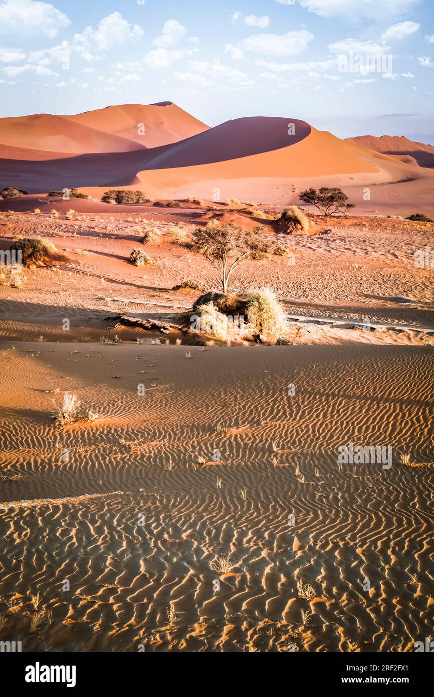 Big Mama Dune in Sossusvlei Area, Namib Naukluft Park, Namibia Stock Photo