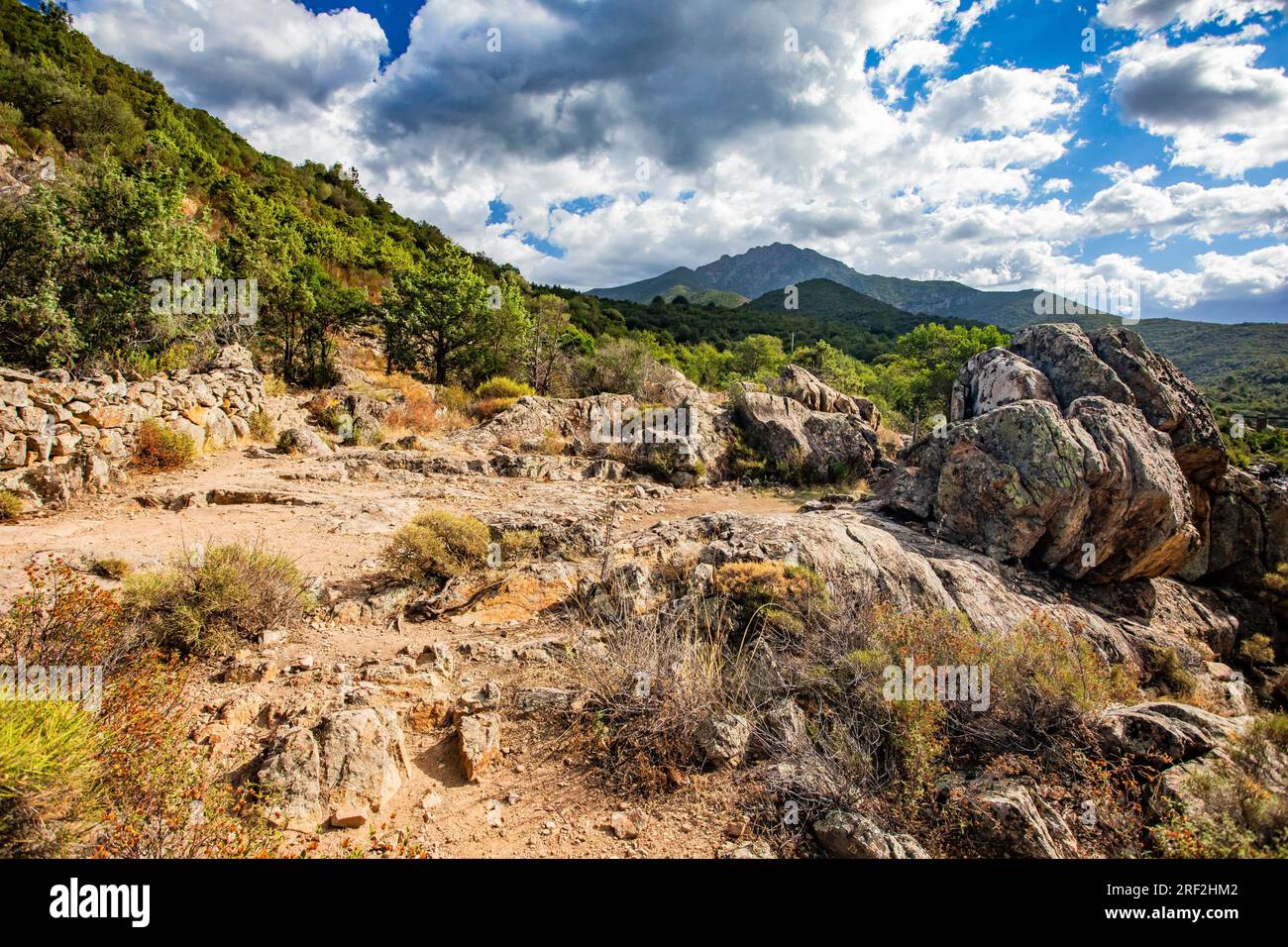 , Vallee du Fango, France, Corsica, Galeria Stock Photo - Alamy