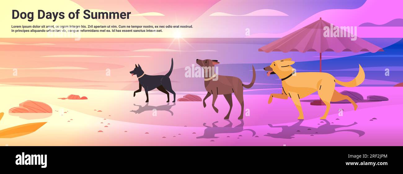 Happy national dog day greeting card various cute doggy relaxing on