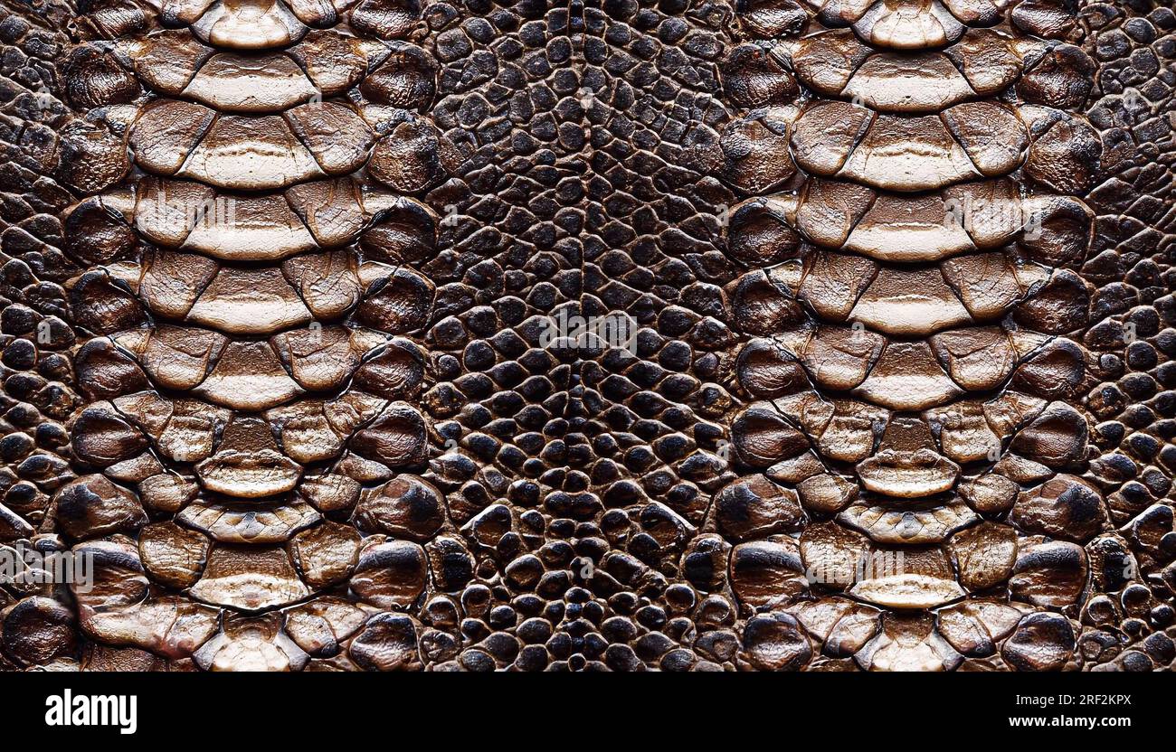 brown crocodile texture. seamless crocodile skin texture with leather  texture.seamless crocodile skin texture with leather texture Stock Photo -  Alamy