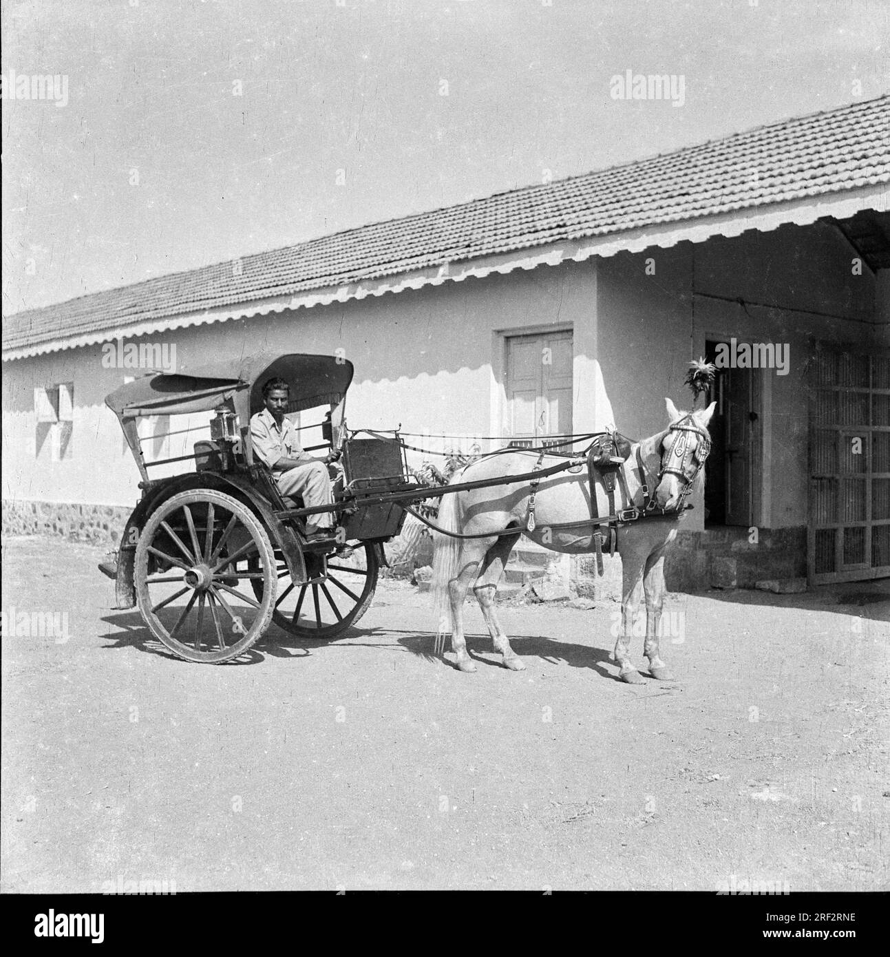 old vintage black and white 1900s picture of Indian tanga tonga horse cart carriage India 1940s Stock Photo
