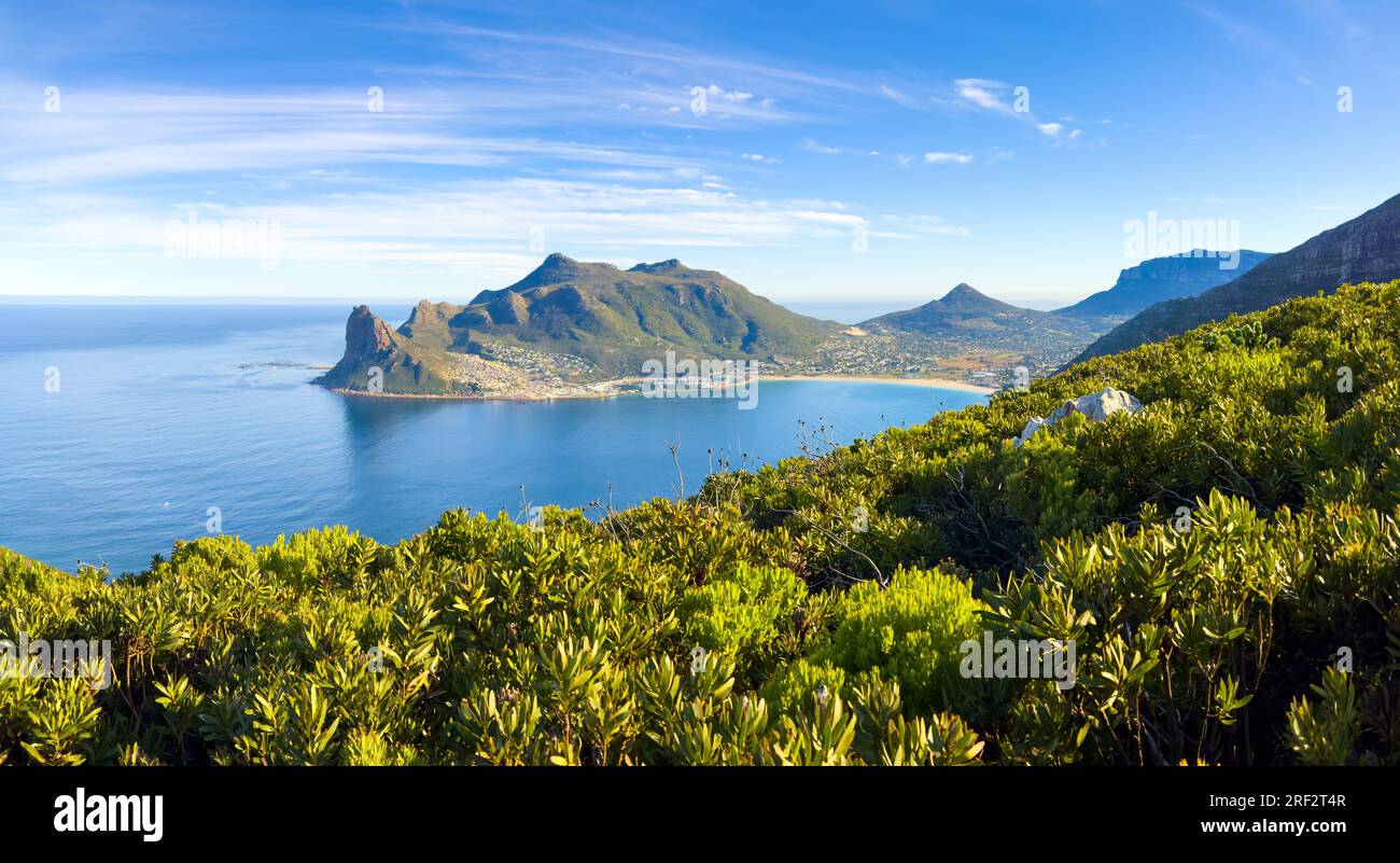 Hout Bay Coastal mountain landscape with fynbos flora in Cape Town, South Africa Stock Photo