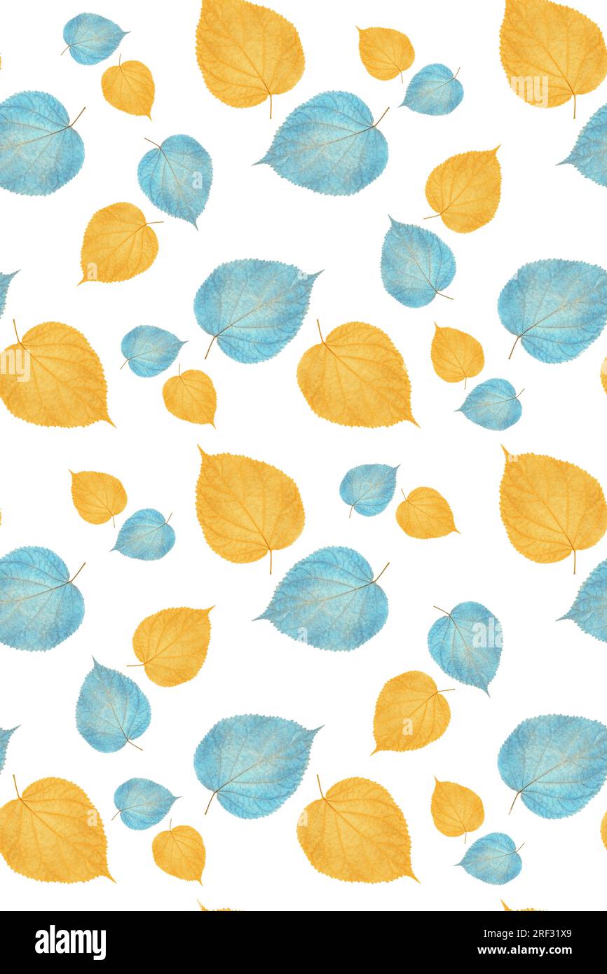 Yellow blue leaves on a white background, seamless pattern. Design for textile, wallpaper, wrapping paper, bed linen, package. Stock Photo