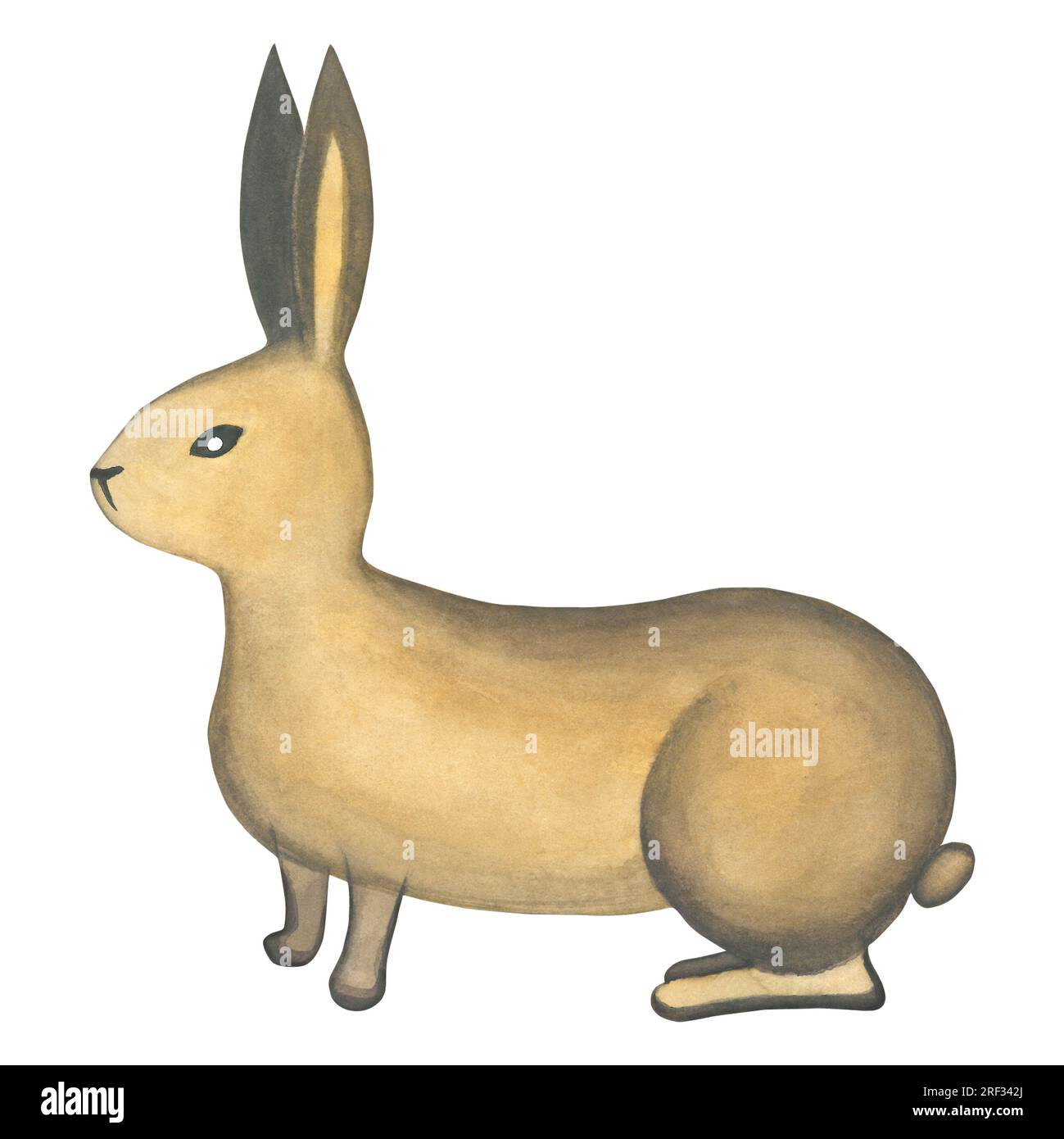 Watercolor illustration of a rabbit in medieval style. Isolated on a white background made by hands Stock Photo