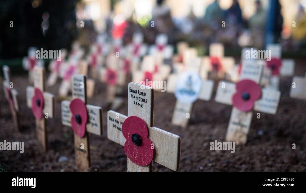 Remembrance crosses in the church yard at St. Mary's Church in Banbury for Remembrance Day 2019. Stock Photo